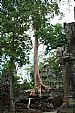 Ta Prohm